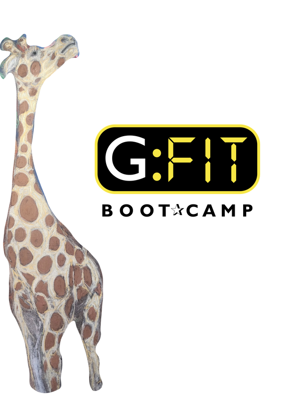 G:FIT Shirts