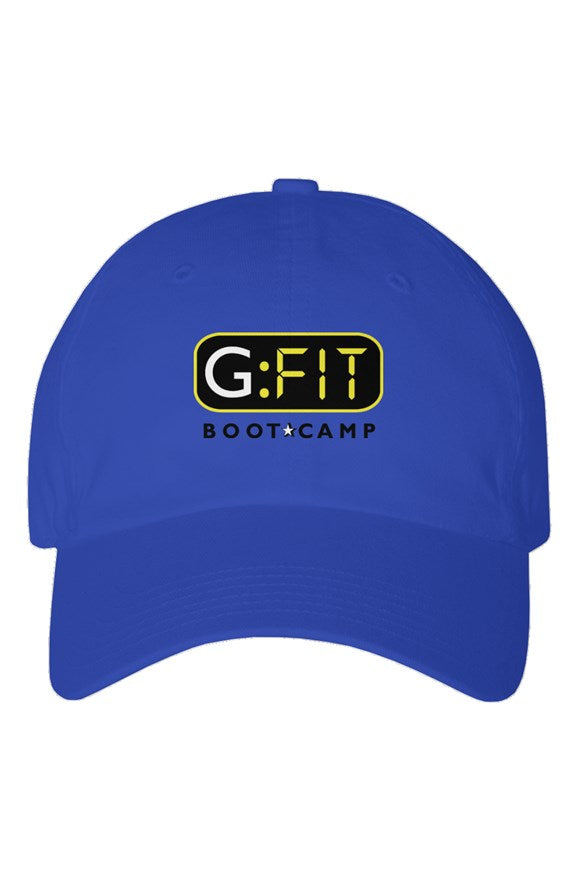 Youth Dad Hat