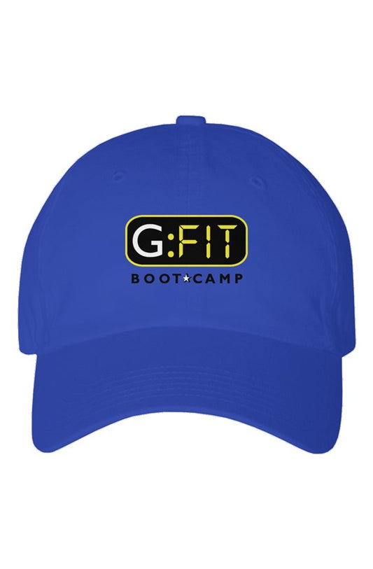 Youth Dad Hat