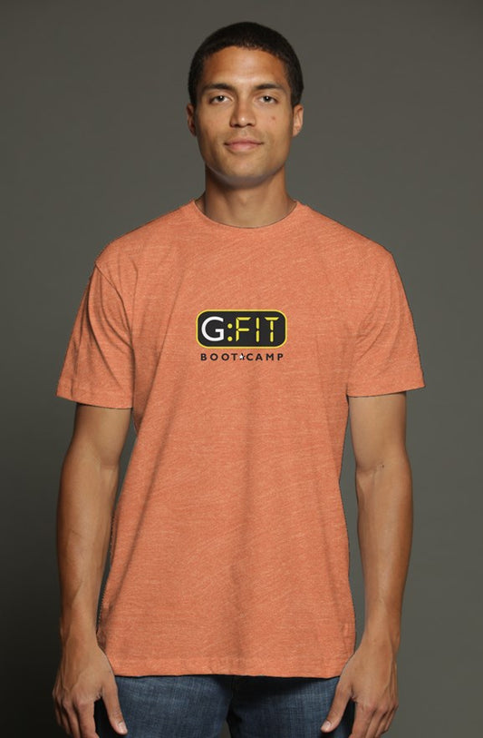 Unisex triblend t shirt